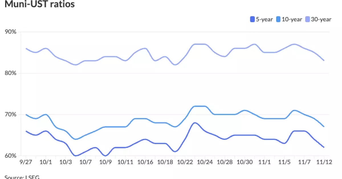 Municipal Bond Market: Assessment and Future Outlook