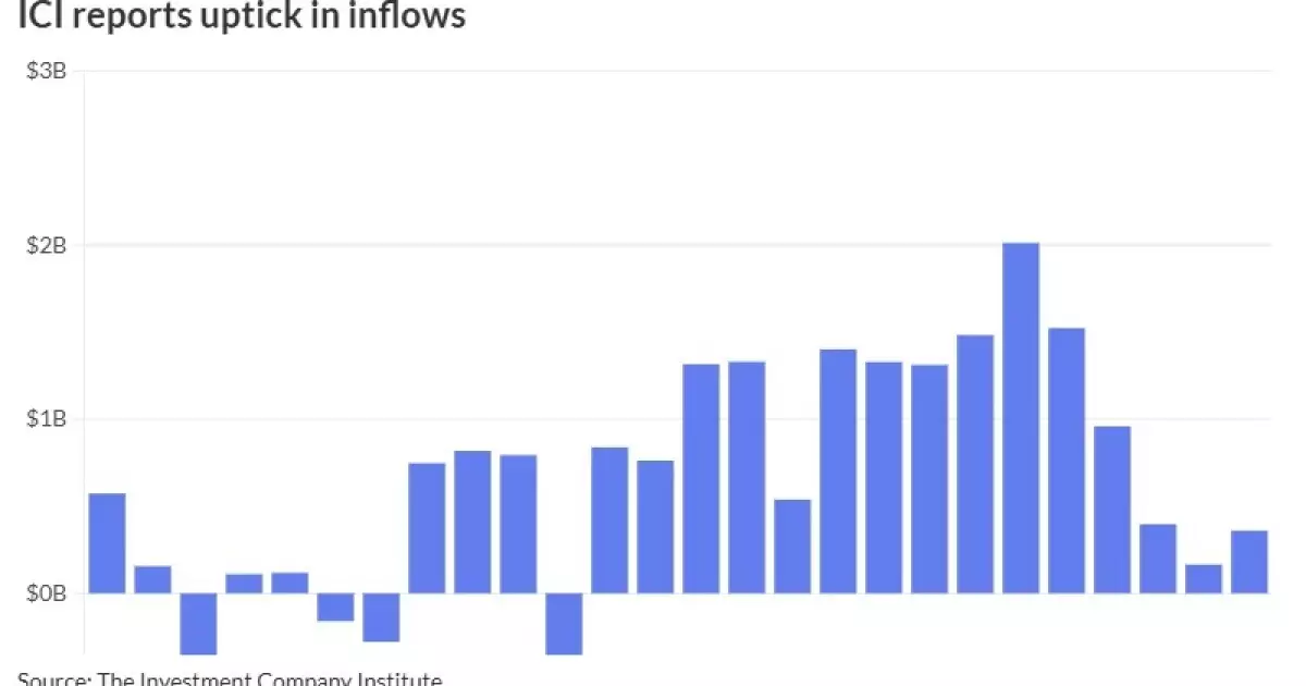 Assessing Recent Trends in the Municipal Bond Market: A Critical Overview