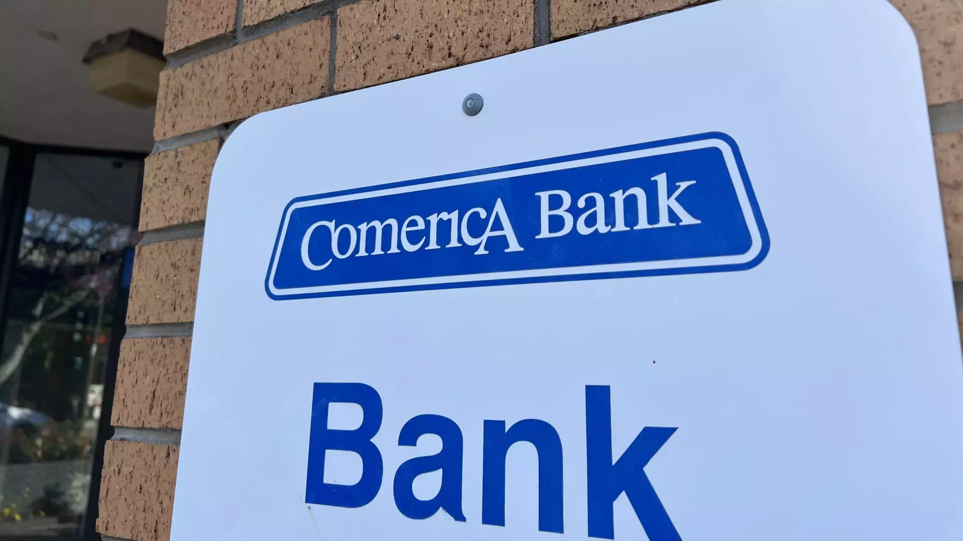 Allegations Against Comerica Bank: Examining Customer Service Failures and Accountability