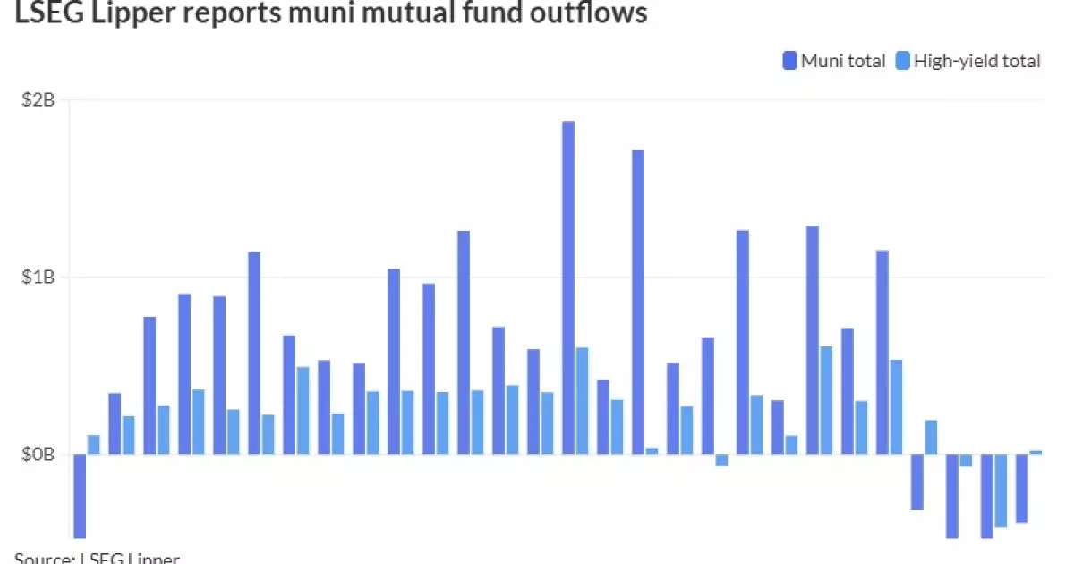 A New Dawn for Municipal Bonds: Insights from January 2025