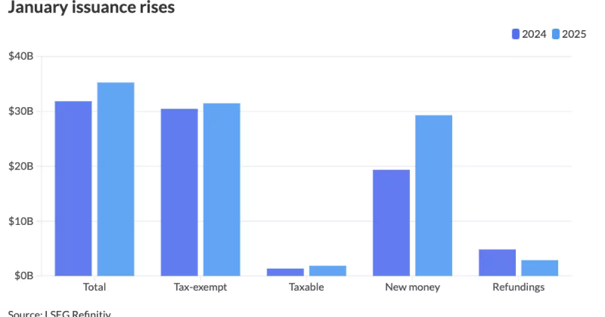 Analyzing the Surge in Municipal Bond Issuance in January 2025