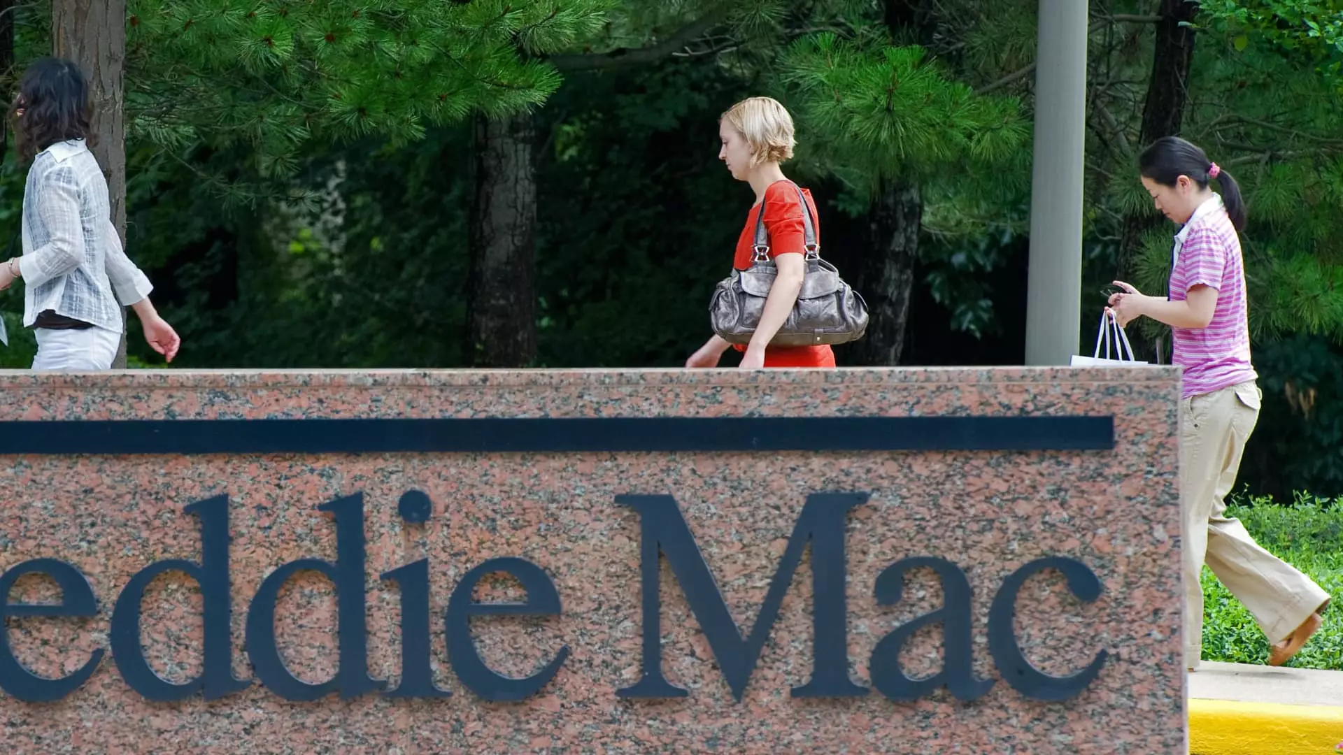 The Future of Fannie Mae and Freddie Mac: Implications of Possible Privatization